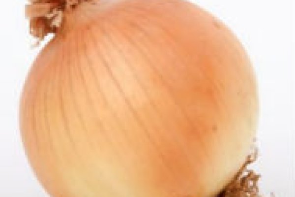Офф сайт крамп onion top